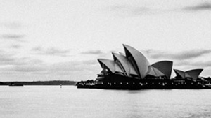 Willow Investment Management featured image